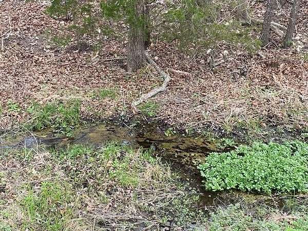 7.33 Acres of Residential Land for Sale in Fordland, Missouri