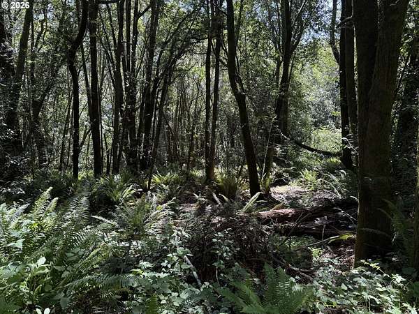5 Acres of Residential Land for Sale in Brookings, Oregon