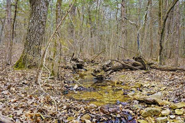 3 Acres of Residential Land for Sale in Lampe, Missouri