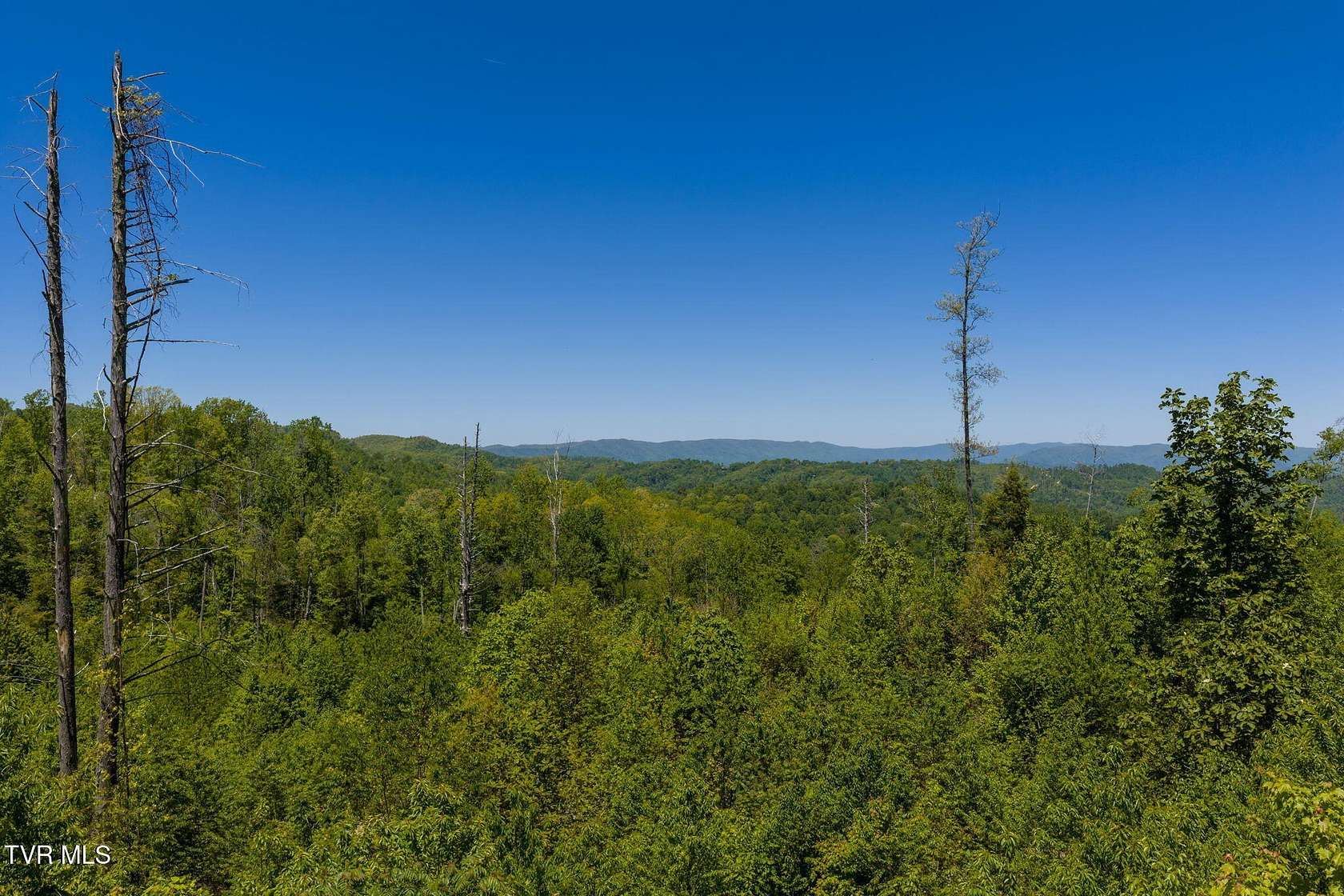 7 Acres of Residential Land for Sale in Roan Mountain, Tennessee