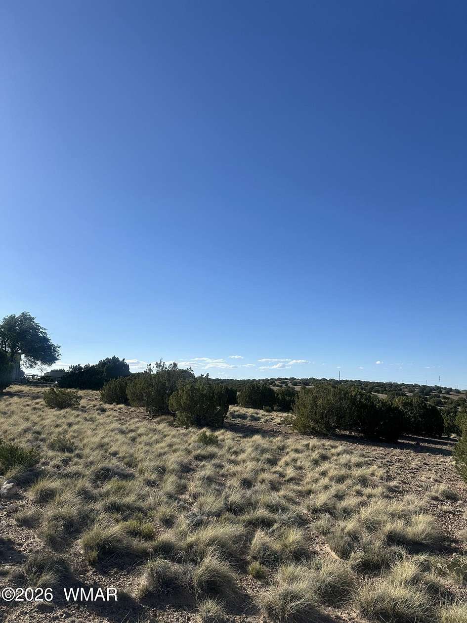 1 Acre of Land for Sale in Concho, Arizona
