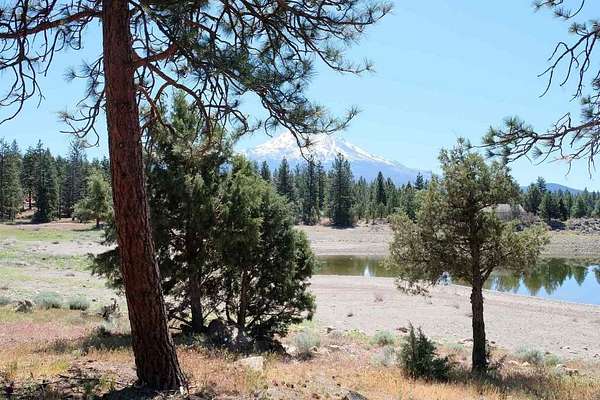 0.05 Acres of Land for Sale in Weed, California