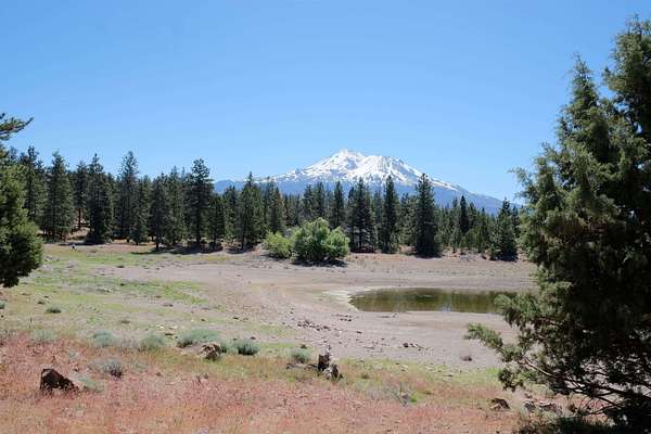 5 Acres of Residential Land for Sale in Weed, California