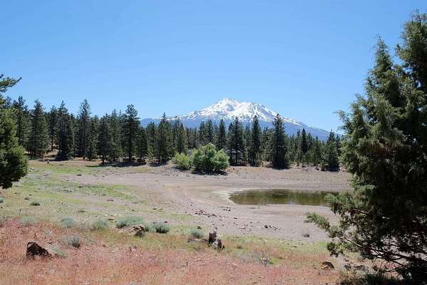 0.05 Acres of Land for Sale in Weed, California