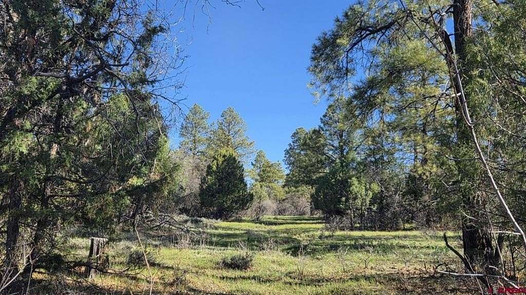 35 Acres of Land for Sale in Pagosa Springs, Colorado