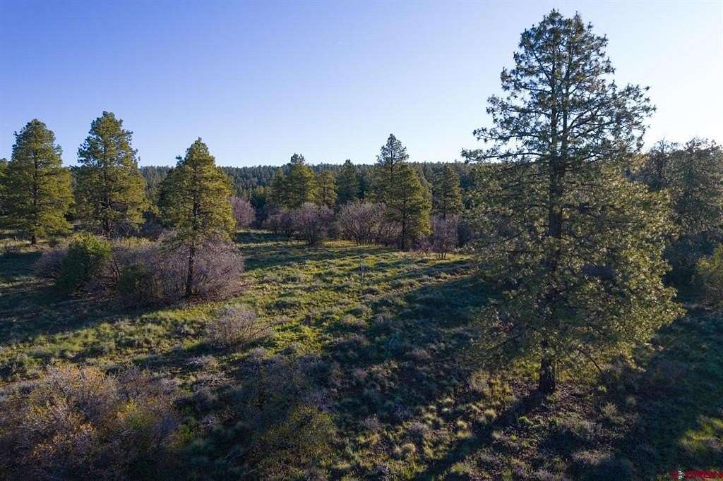 35 Acres of Recreational & Residential Land for Sale in Pagosa Springs, Colorado