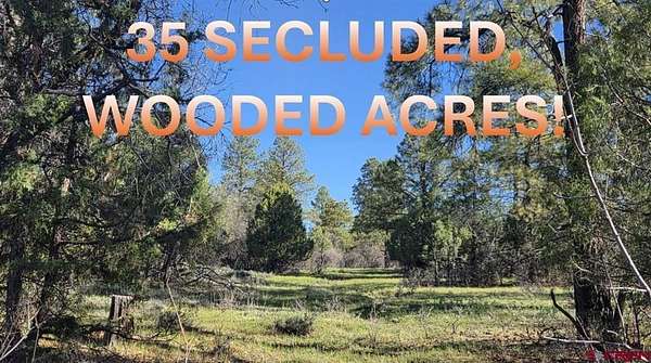 35 Acres of Recreational & Residential Land for Sale in Pagosa Springs, Colorado