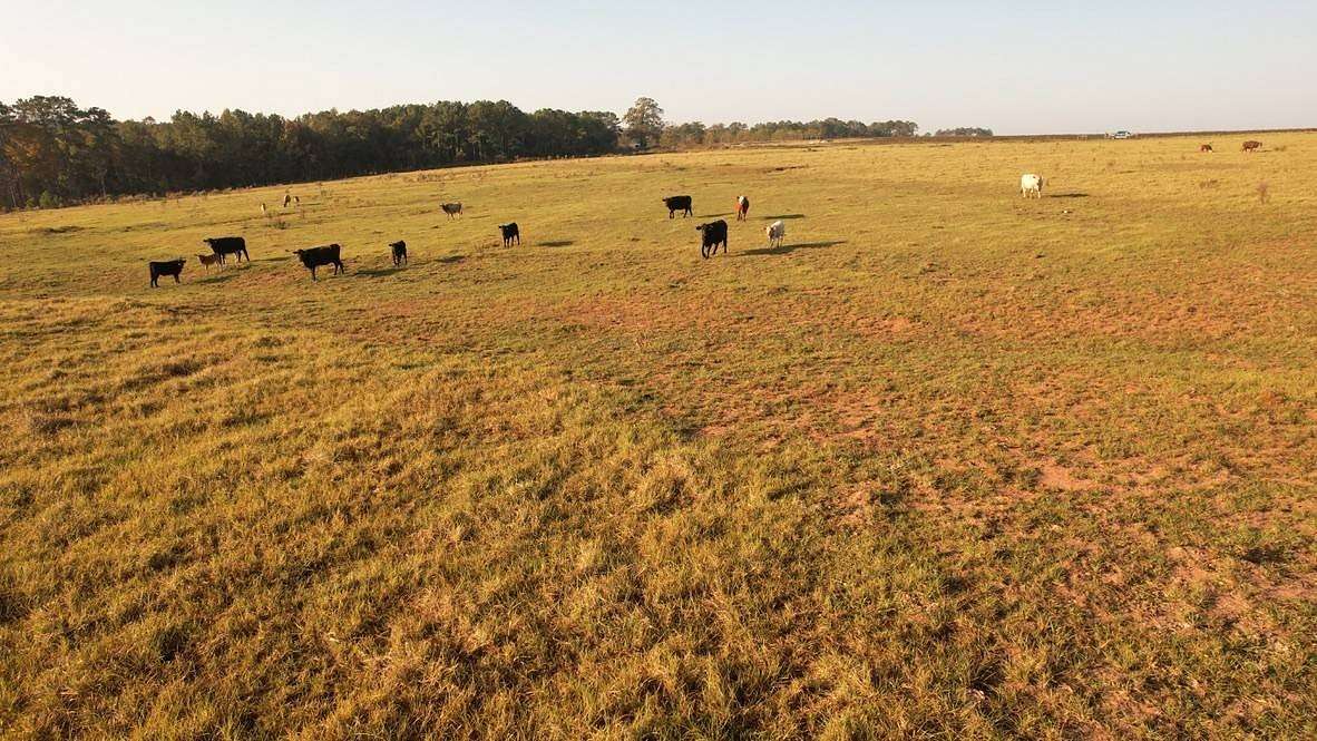 Land for Sale in Fort Gaines, Georgia