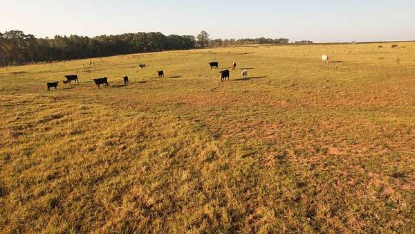 Land for Sale in Fort Gaines, Georgia