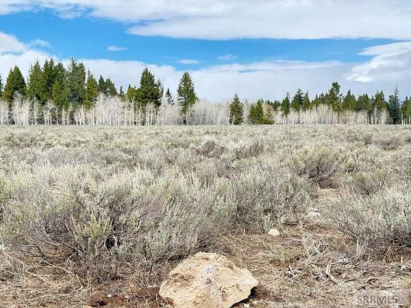 5.24 Acres of Residential Land for Sale in Island Park, Idaho