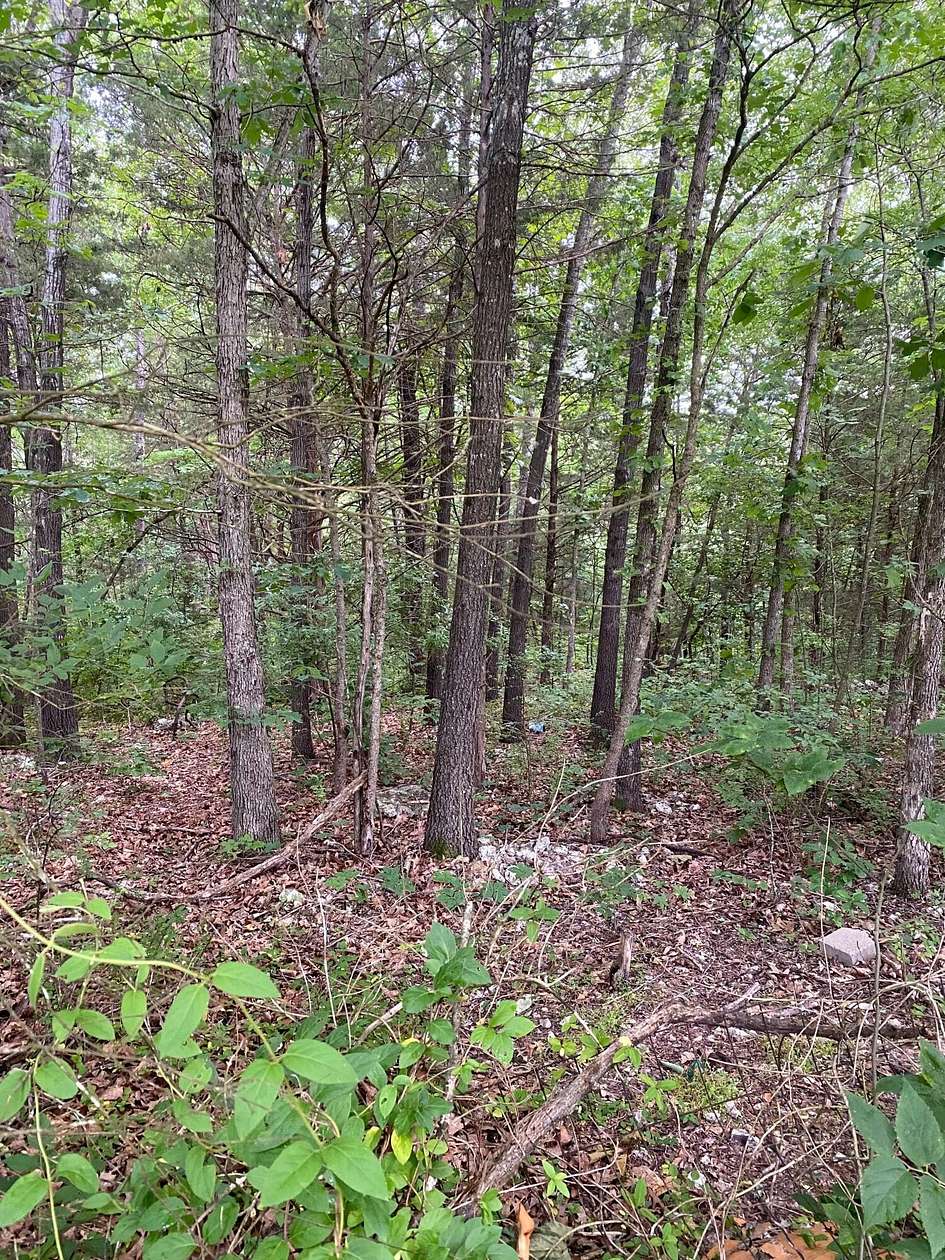 0.06 Acres of Land for Sale in Shell Knob, Missouri
