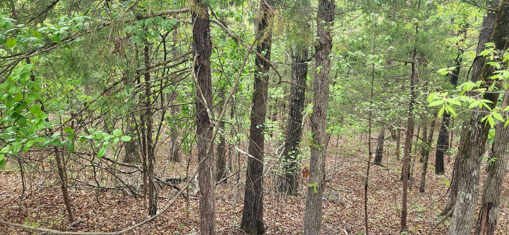0.32 Acres of Residential Land for Sale in Rockaway Beach, Missouri