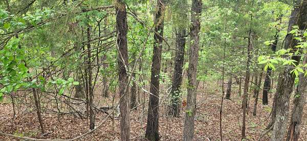 0.32 Acres of Residential Land for Sale in Rockaway Beach, Missouri