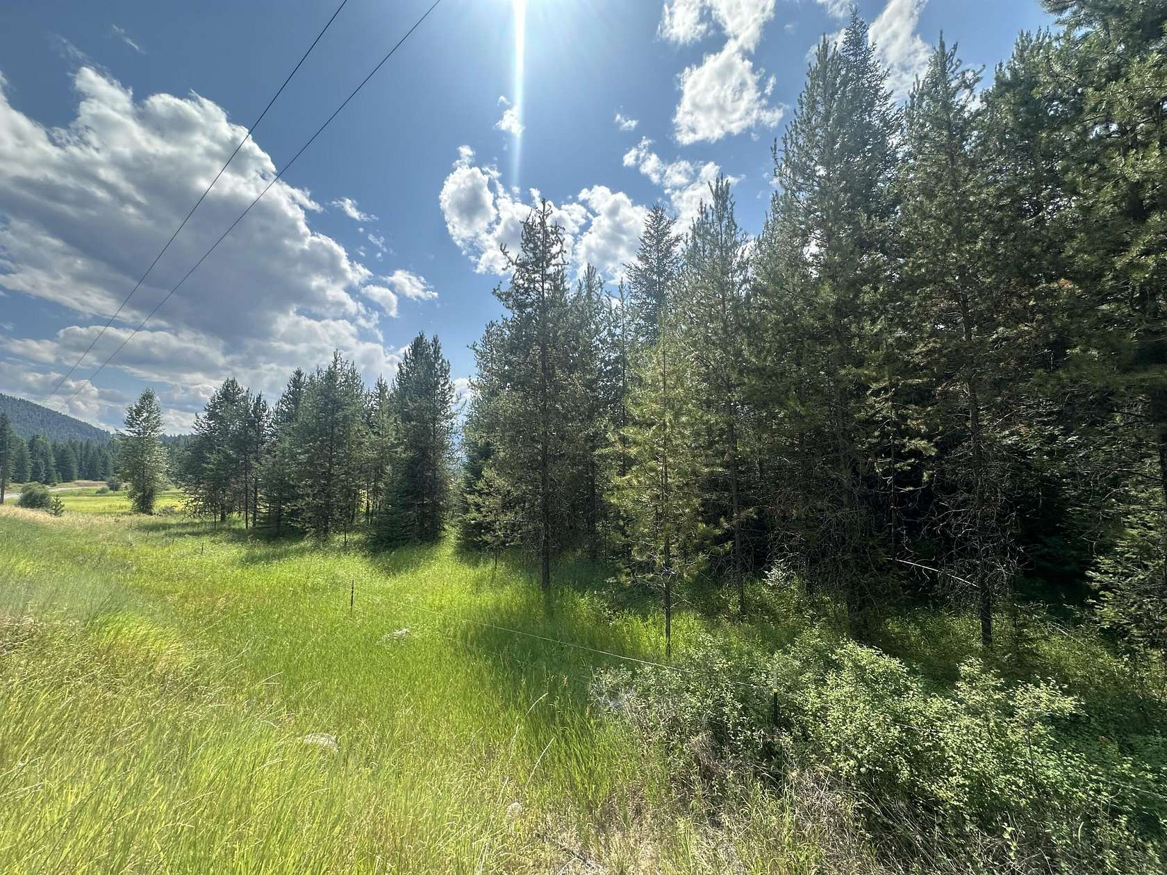 37.3 Acres of Recreational & Residential Land for Sale in Colville, Washington