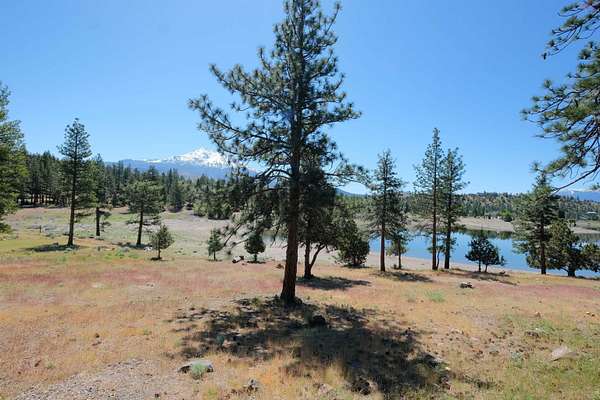 0.05 Acres of Land for Sale in Weed, California