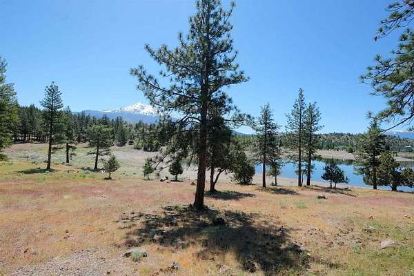 0.05 Acres of Land for Sale in Weed, California