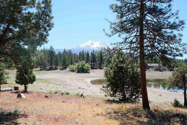 0.05 Acres of Land for Sale in Weed, California