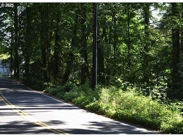 0.24 Acres of Residential Land for Sale in Portland, Oregon