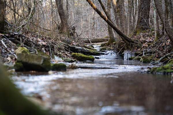 82.1 Acres of Recreational Land for Sale in Kimberling City, Missouri
