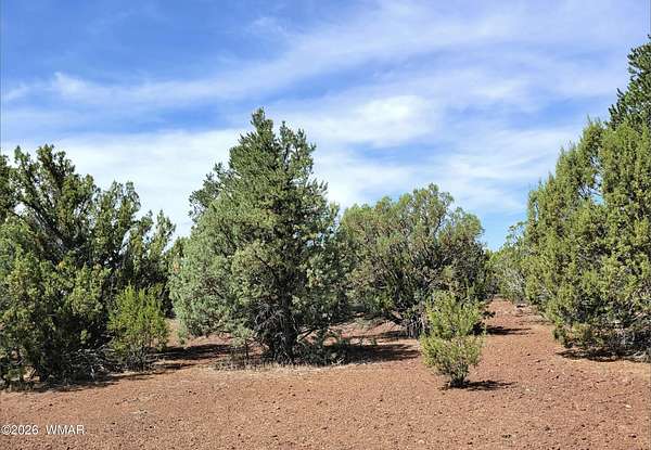 6.3 Acres of Residential Land for Sale in Vernon, Arizona