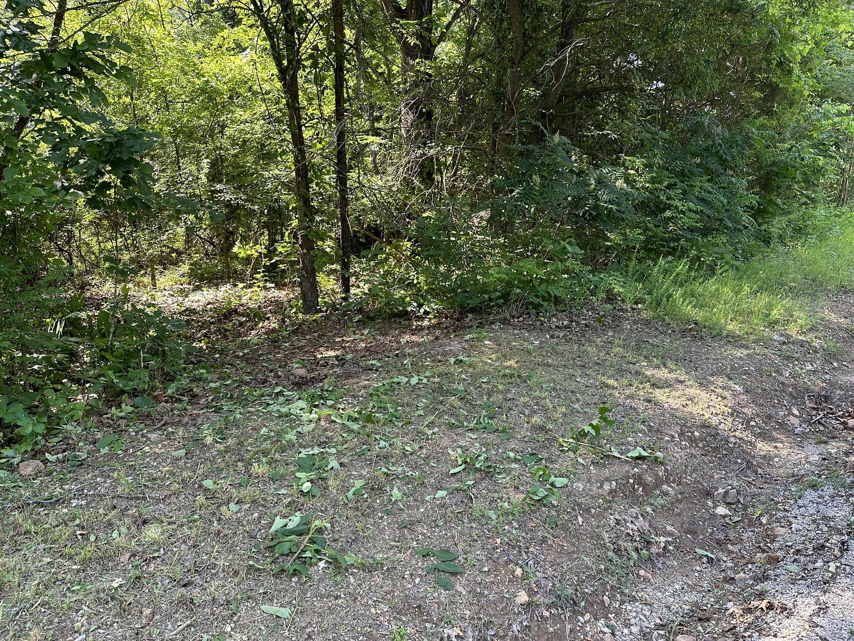 0.34 Acres of Land for Sale in Shell Knob, Missouri
