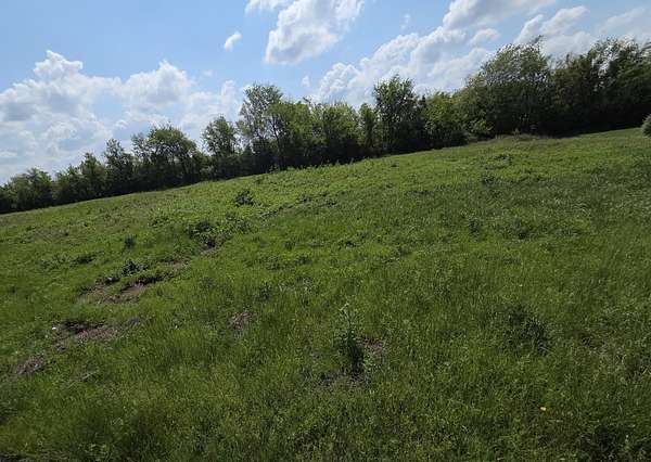 1 Acre of Commercial Land for Sale in Republic, Missouri