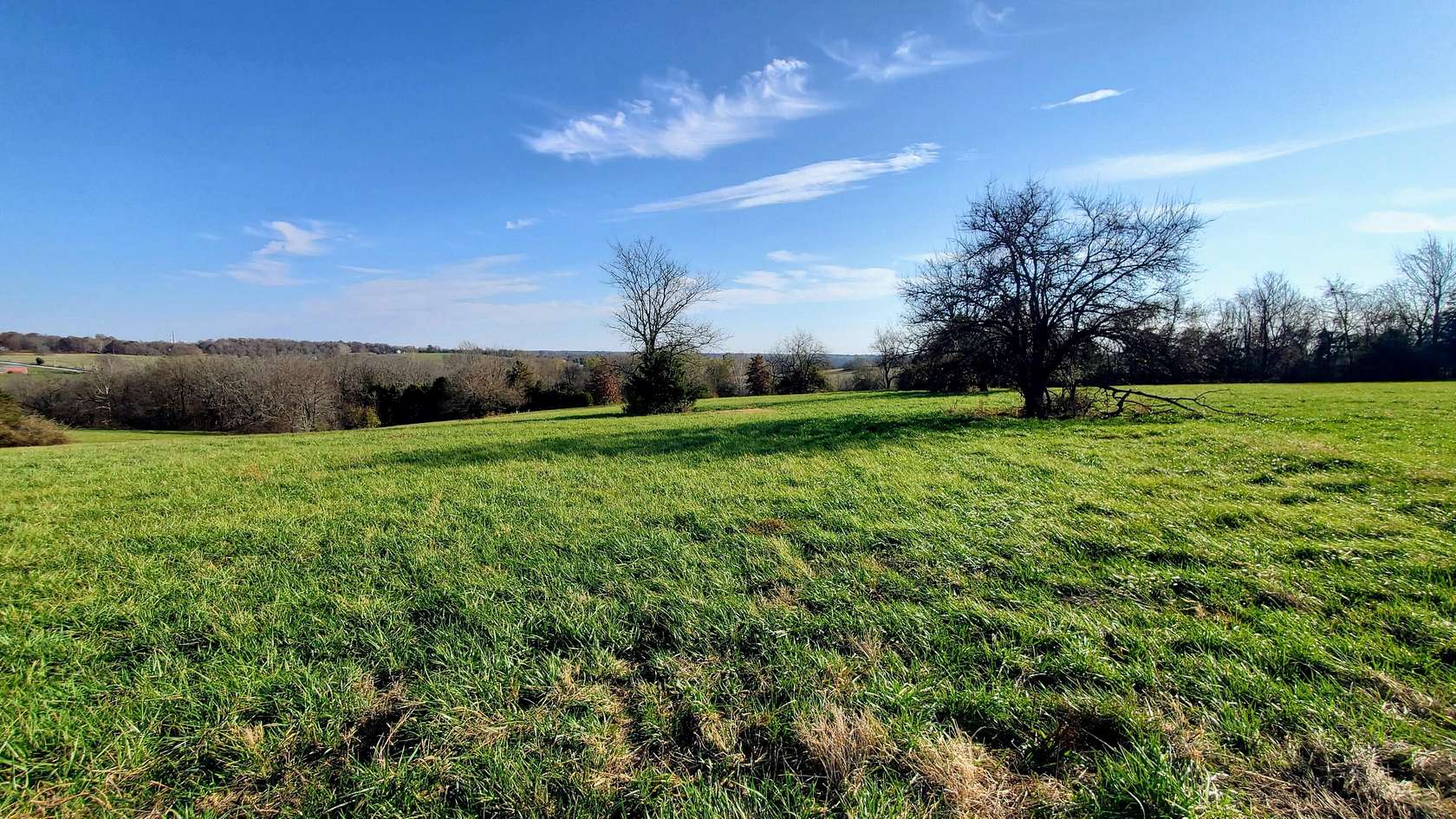 3 Acres of Residential Land for Sale in Republic, Missouri
