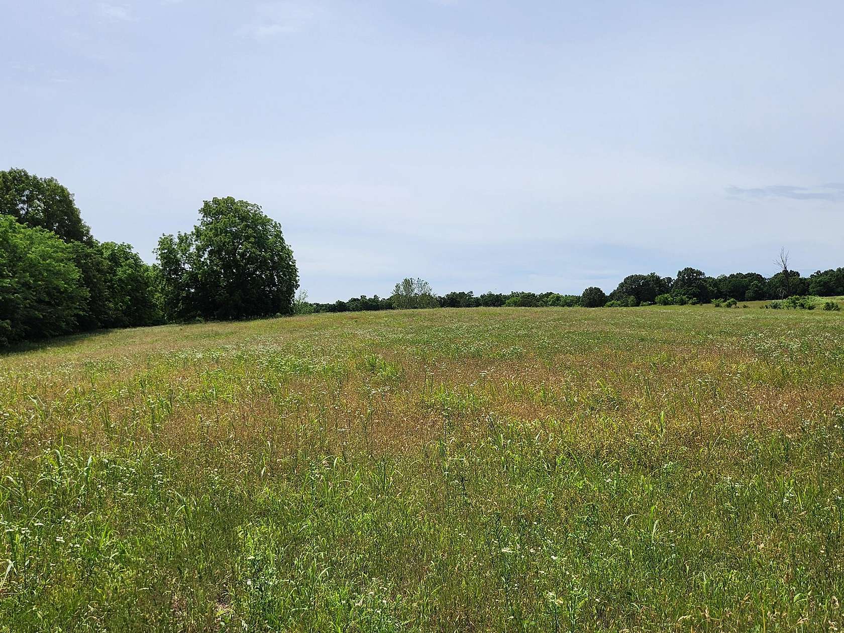 10 Acres of Residential Land for Sale in Walnut Grove, Missouri