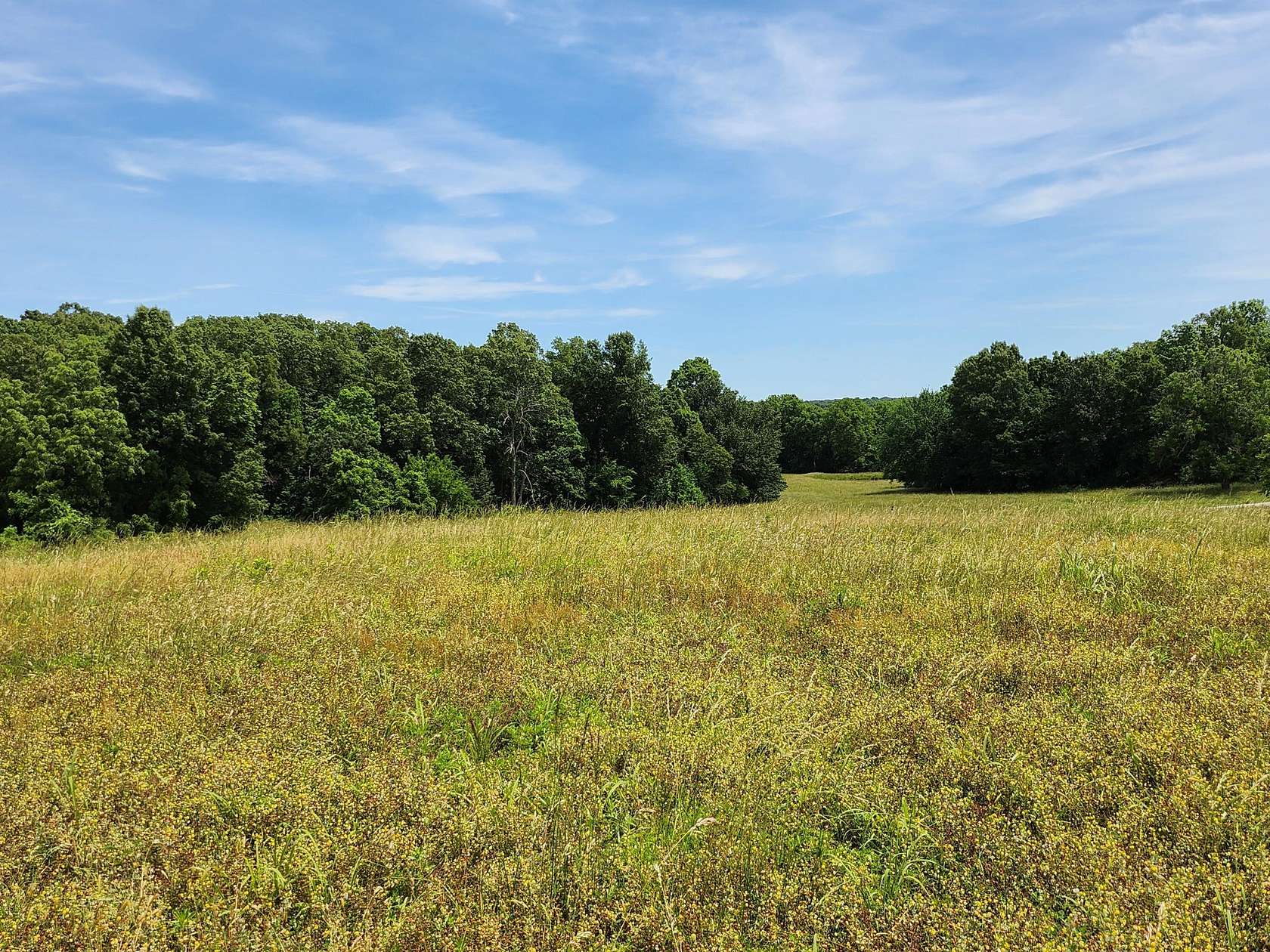10 Acres of Residential Land for Sale in Walnut Grove, Missouri