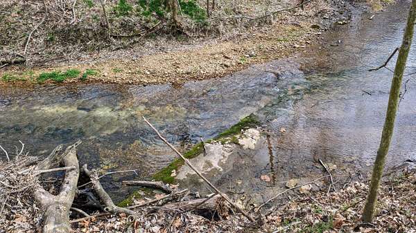 16 Acres of Land for Sale in Willard, Missouri