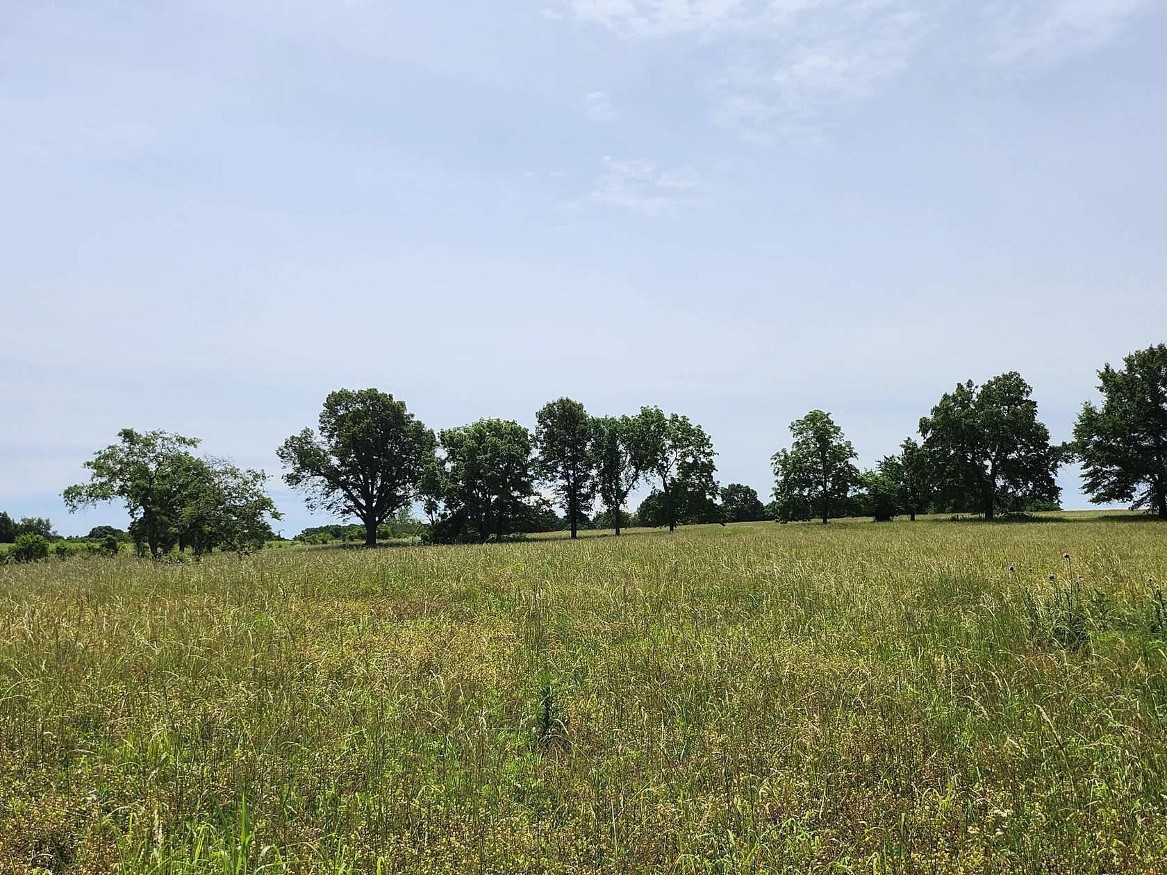10 Acres of Land for Sale in Walnut Grove, Missouri