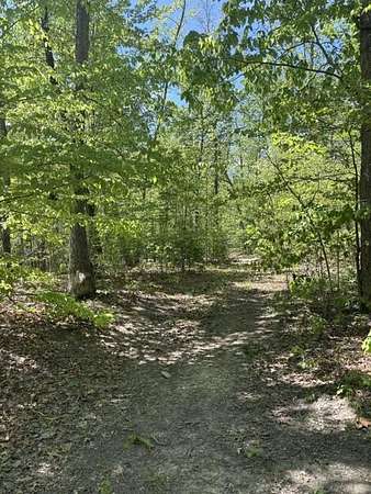 75.7 Acres of Recreational & Residential Land for Sale in Aroda, Virginia