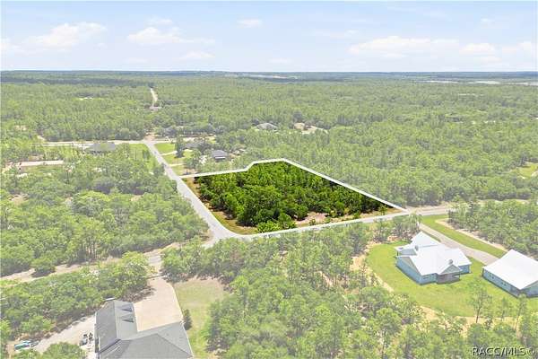 3 Acres of Residential Land for Sale in Beverly Hills, Florida