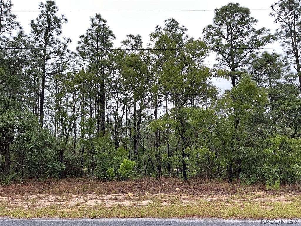 0.23 Acres of Residential Land for Sale in Citrus Springs, Florida