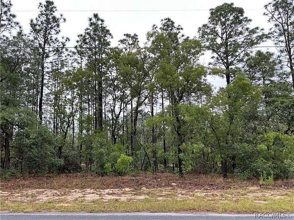 0.23 Acres of Residential Land for Sale in Citrus Springs, Florida