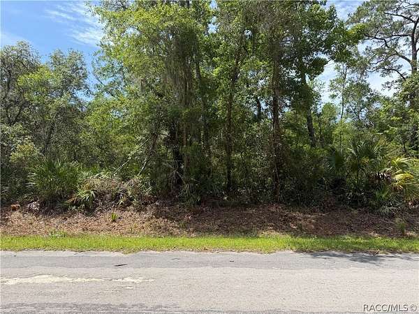 1.14 Acres of Residential Land for Sale in Crystal River, Florida