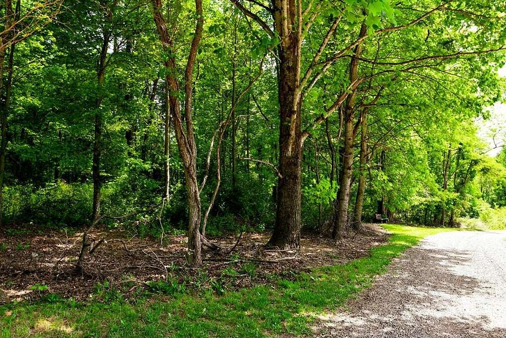 15.2 Acres of Recreational & Residential Land for Sale in Meadows of Dan, Virginia