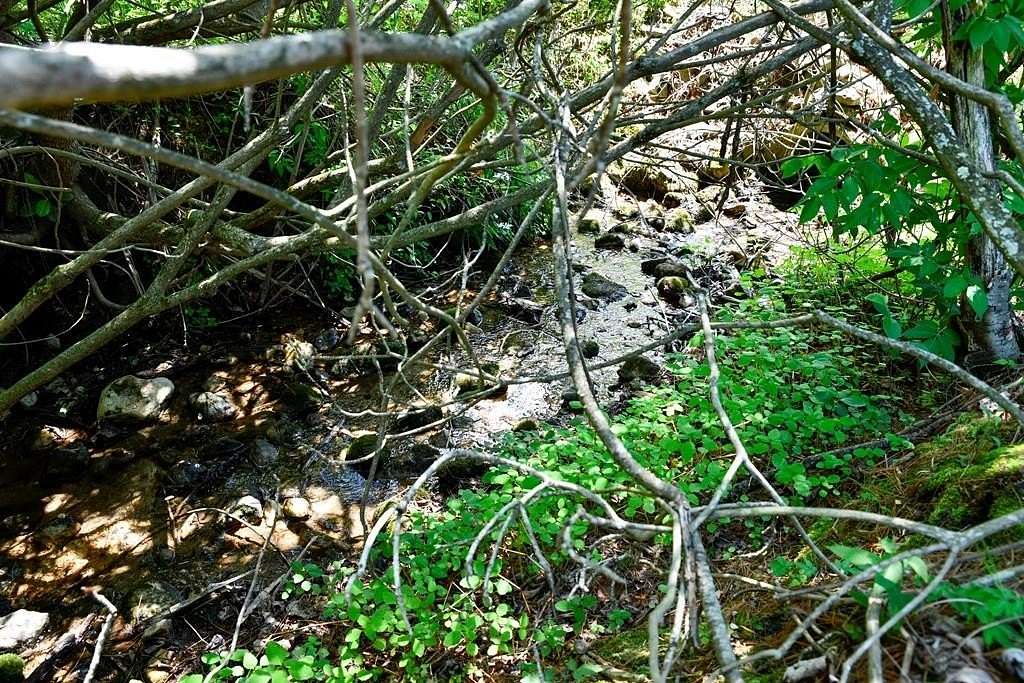 15.2 Acres of Recreational & Residential Land for Sale in Meadows of Dan, Virginia