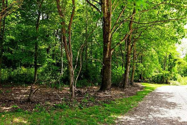 15.2 Acres of Recreational & Residential Land for Sale in Meadows of Dan, Virginia