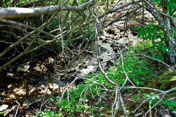 15.2 Acres of Recreational & Residential Land for Sale in Meadows of Dan, Virginia
