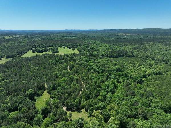 40 Acres of Land for Sale in Point Cedar, Arkansas