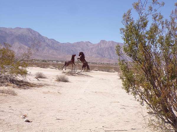 82.2 Acres of Land for Sale in Borrego Springs, California