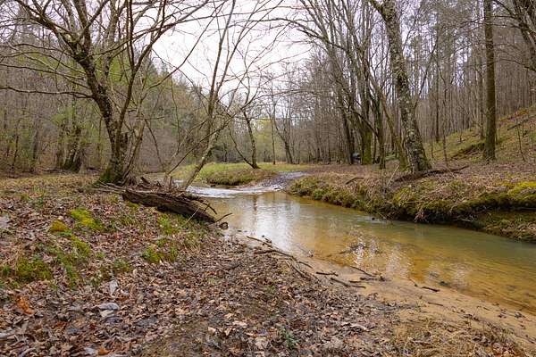 225 Acres of Recreational Land for Sale in Haleyville, Alabama