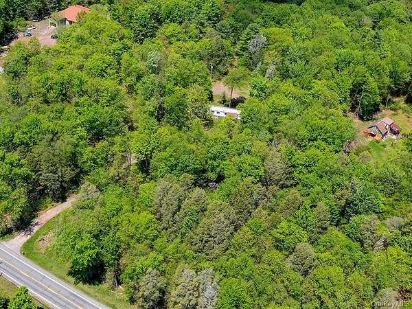 12.8 Acres of Recreational Land with Home for Sale in Grahamsville, New York