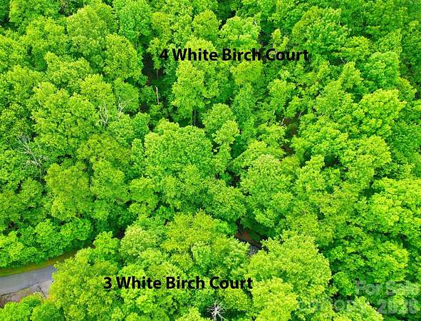 1.19 Acres of Residential Land for Sale in Black Mountain, North Carolina