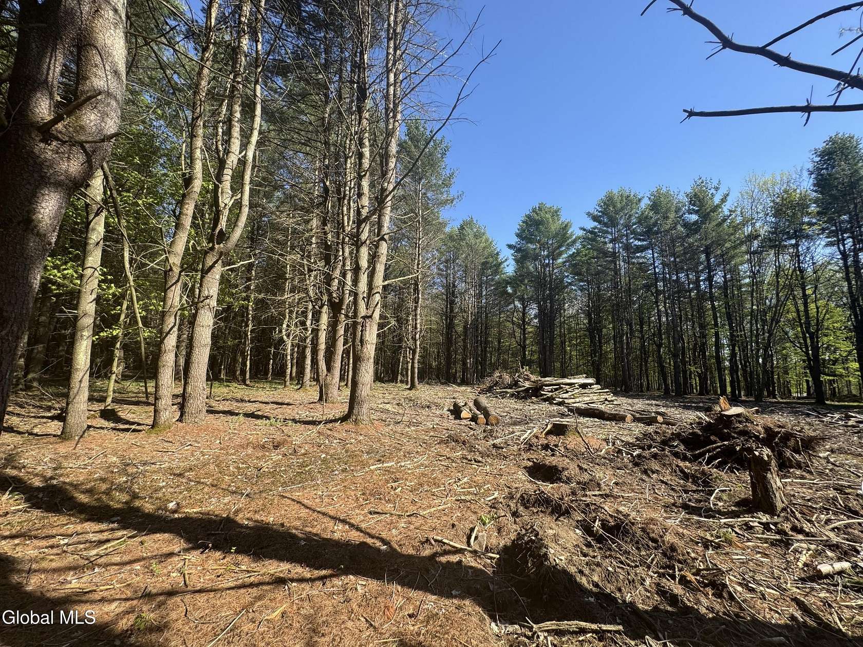 5.89 Acres of Residential Land for Sale in Cooperstown, New York
