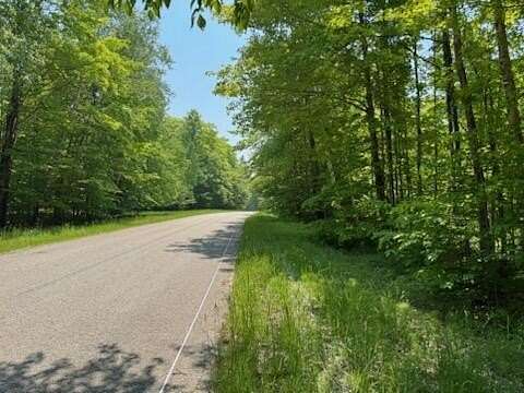 Residential Land for Sale in McMillan, Michigan