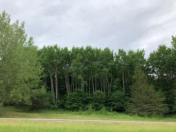 0.99 Acres of Land for Sale in Paynesville Township, Minnesota