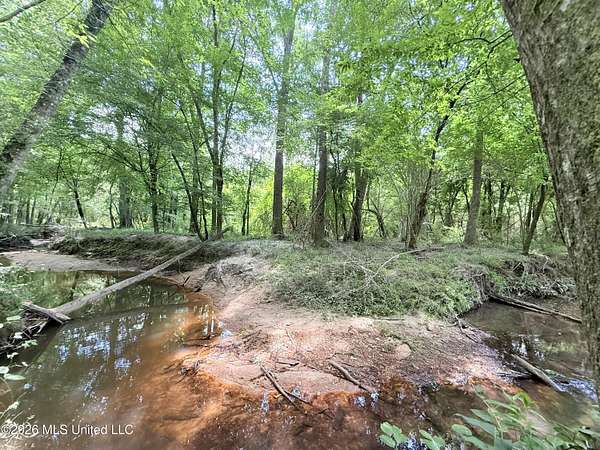53.3 Acres of Recreational & Residential Land for Sale in Summit, Mississippi