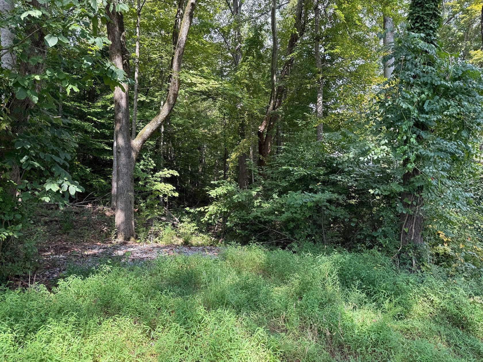 64 Acres of Recreational & Residential Land for Sale in Dayton, Tennessee